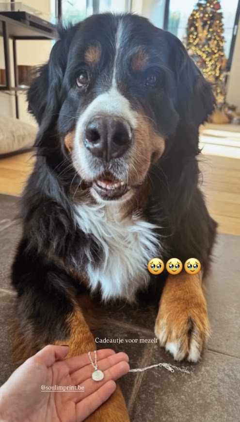 Afdrukjuweel ketting - neusafdruk hond