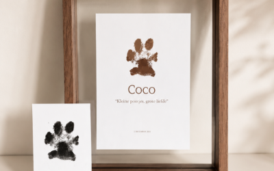 De pootafdruk van je hond bewaren: zo maak je er iets persoonlijks van